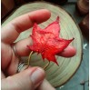 Copper hairstick with red maple leaf